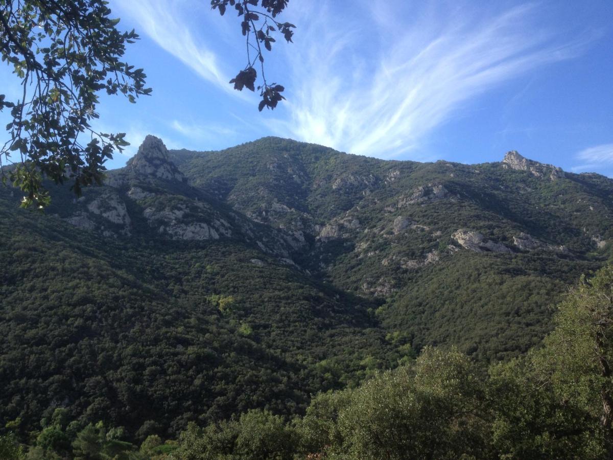 L'Abri La Vall Sorède Zewnętrze zdjęcie