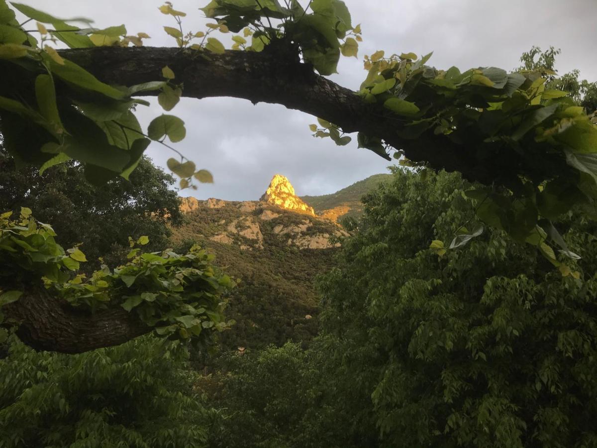 L'Abri La Vall Sorède Zewnętrze zdjęcie